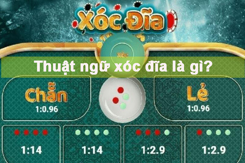 Thuật ngữ xóc đĩa là gì? Tổng hợp 30+ các thuật ngữ phổ biến trong xóc đĩa