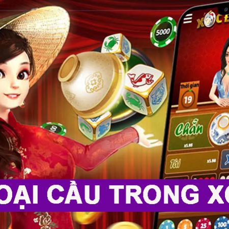 Các loại cầu trong xóc đĩa và cách soi cầu xóc đĩa luôn thắng