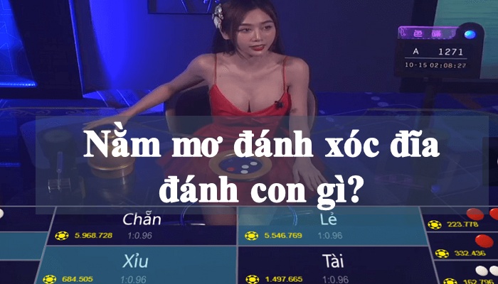 Mơ đánh xóc đĩa đánh con gì